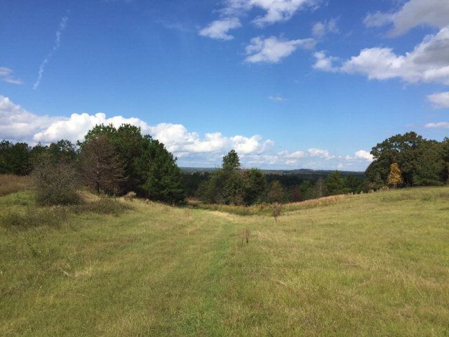 431 Us Hwy 431, Eufaula, AL 36027